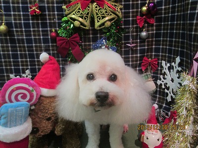 ファイル 5621-2.jpg