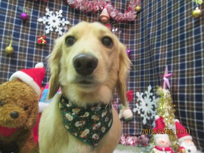 ファイル 5623-1.jpg