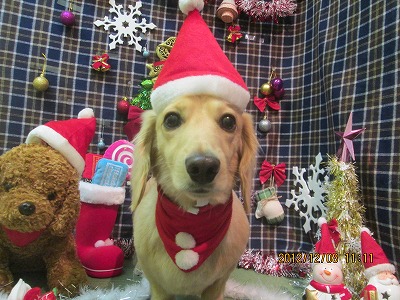 ファイル 5623-2.jpg