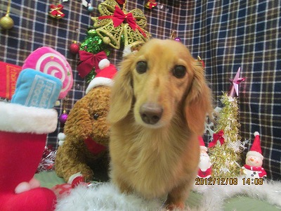 ファイル 5624-1.jpg