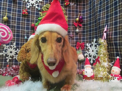 ファイル 5624-2.jpg