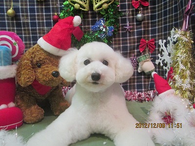 ファイル 5625-1.jpg