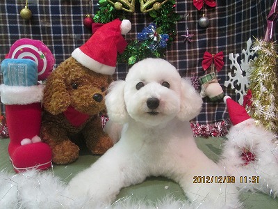 ファイル 5625-2.jpg