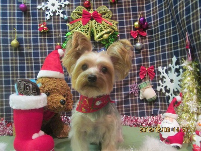 ファイル 5626-1.jpg