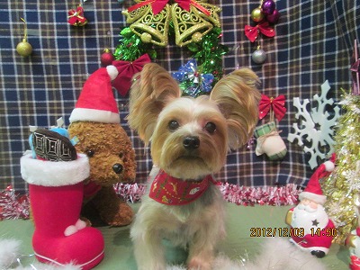 ファイル 5626-2.jpg