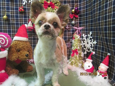 ファイル 5627-1.jpg