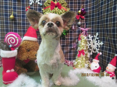 ファイル 5627-2.jpg