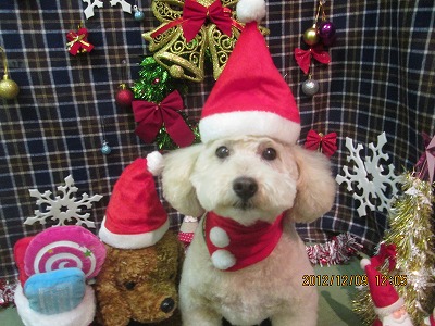 ファイル 5628-1.jpg