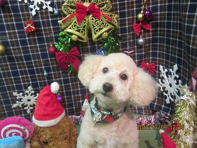 ファイル 5628-2.jpg