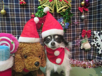 ファイル 5629-1.jpg