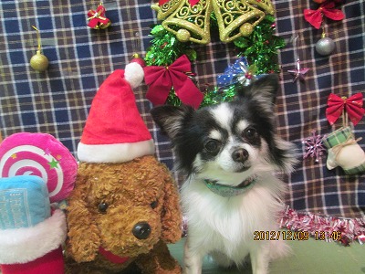 ファイル 5629-2.jpg