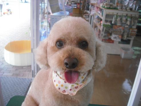 ファイル 563-1.jpg