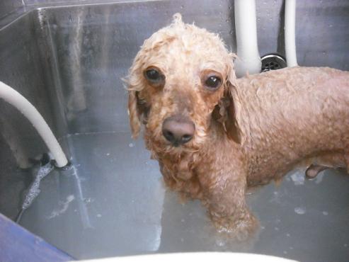 ファイル 563-2.jpg