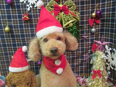 ファイル 5630-1.jpg