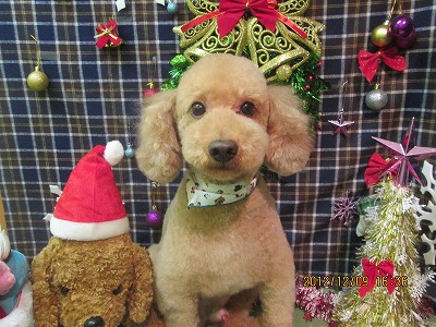 ファイル 5630-2.jpg