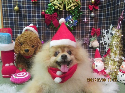 ファイル 5631-1.jpg