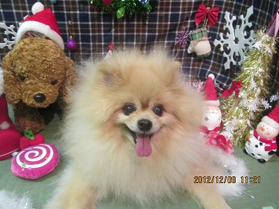 ファイル 5631-2.jpg