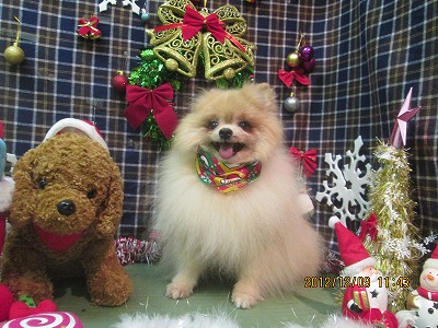 ファイル 5632-1.jpg