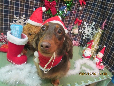 ファイル 5634-1.jpg