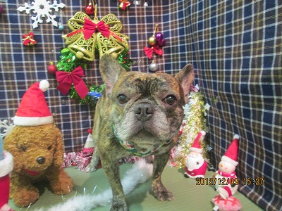 ファイル 5635-1.jpg