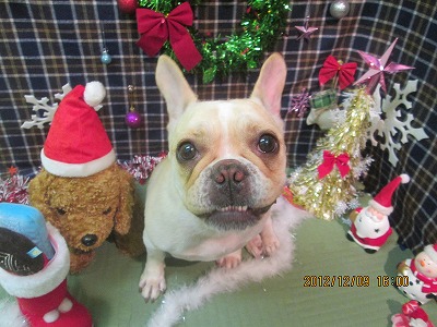 ファイル 5636-2.jpg