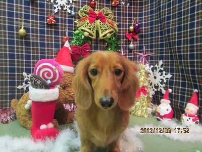 ファイル 5637-2.jpg