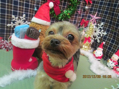 ファイル 5638-1.jpg