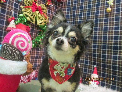 ファイル 5639-1.jpg