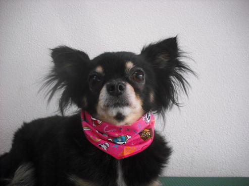 ファイル 564-1.jpg