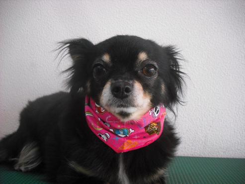 ファイル 564-2.jpg