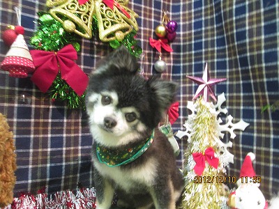 ファイル 5640-2.jpg