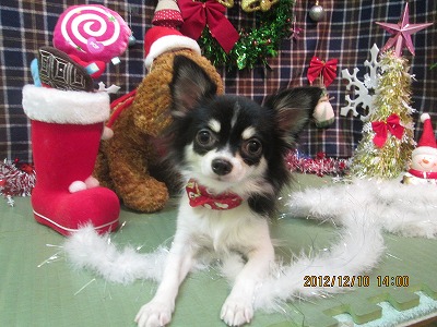 ファイル 5641-1.jpg