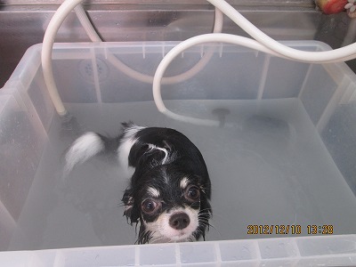 ファイル 5641-2.jpg