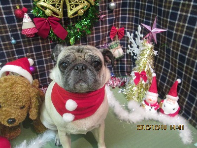 ファイル 5642-1.jpg