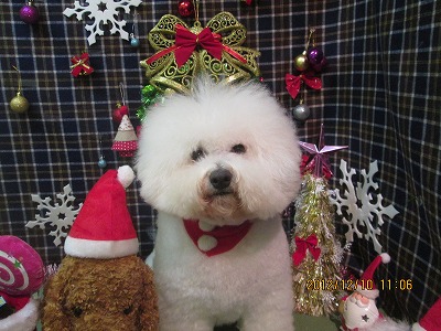 ファイル 5643-1.jpg