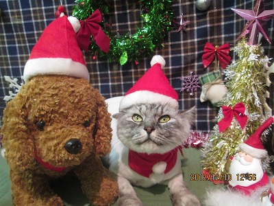 ファイル 5644-1.jpg