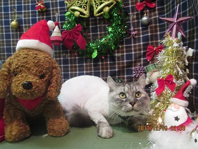 ファイル 5644-2.jpg