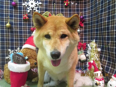 ファイル 5648-2.jpg