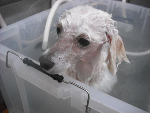 ファイル 565-2.jpg