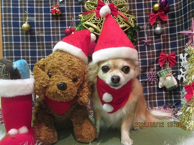 ファイル 5650-1.jpg