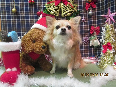 ファイル 5650-2.jpg