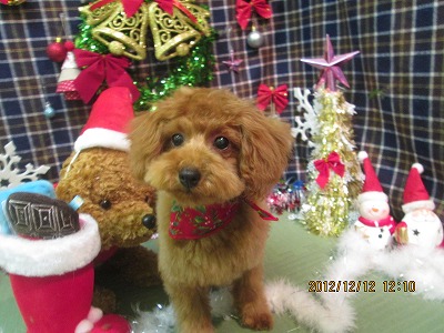 ファイル 5651-1.jpg