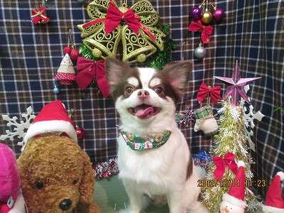 ファイル 5653-2.jpg