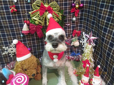 ファイル 5654-1.jpg