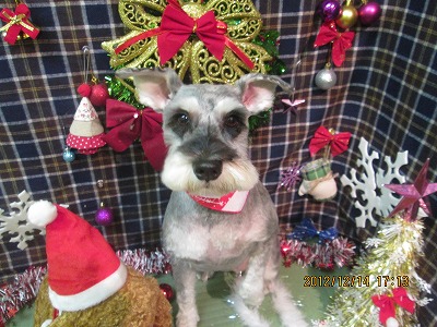 ファイル 5654-2.jpg