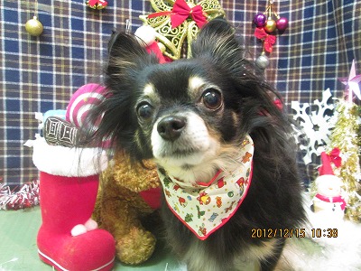 ファイル 5656-1.jpg