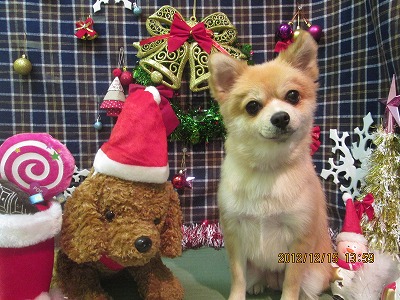 ファイル 5657-2.jpg