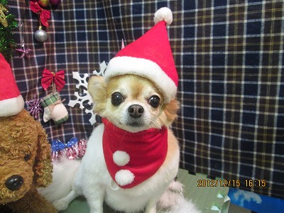 ファイル 5658-1.jpg