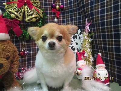 ファイル 5658-2.jpg