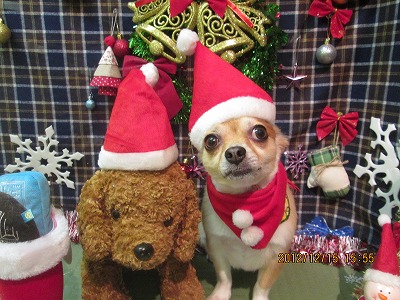 ファイル 5659-1.jpg